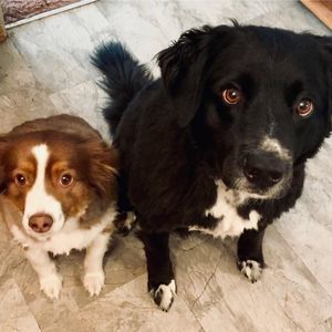 Meet your Posher, Meegan